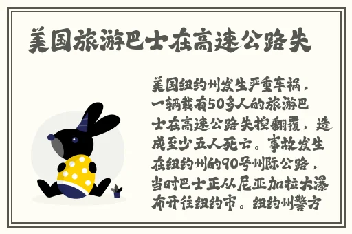 欧洲尺码专区24兔费
